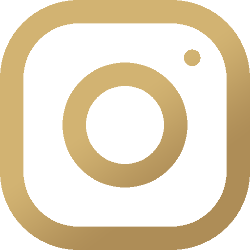 Regan Hillyer Instagram Logo