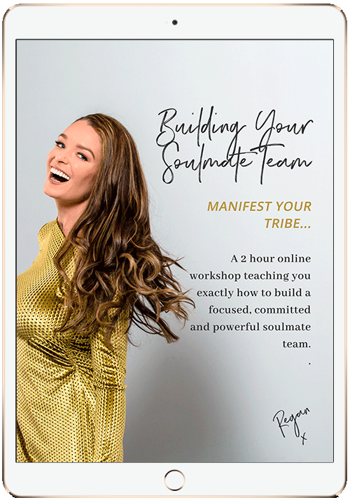 Regan Hillyer product image for Building Your Soulmate Team